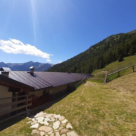 Hotel Restor Natura Malga Mondent Pracorno di Rabbi Exteriér fotografie