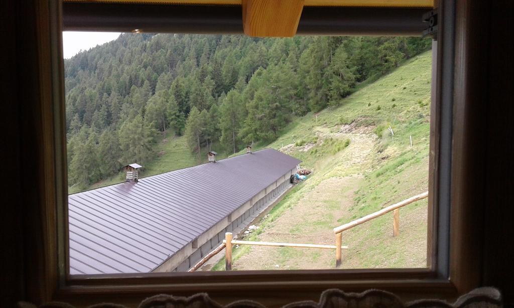 Hotel Restor Natura Malga Mondent Pracorno di Rabbi Exteriér fotografie